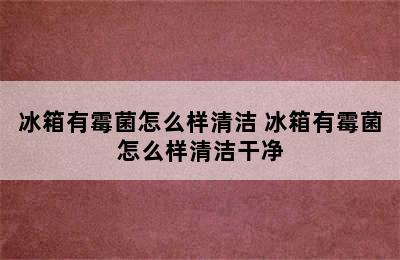 冰箱有霉菌怎么样清洁 冰箱有霉菌怎么样清洁干净